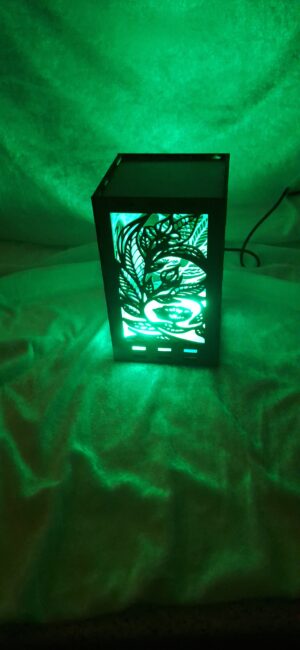 Lanterner med LED lys - Image 2