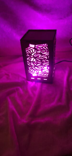 Lanterner med LED lys - Image 7